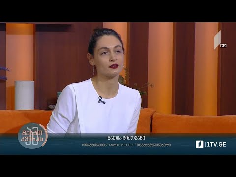 #ამშაბათკვირას სტუმარი - ნათია ჩიქოვანი - ორგანიზაცია animal project - ის თანადამფუძნებელი