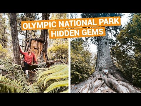 Video: Relaxează-te la Lake Quinault Lodge din Peninsula Olimpică din Washington