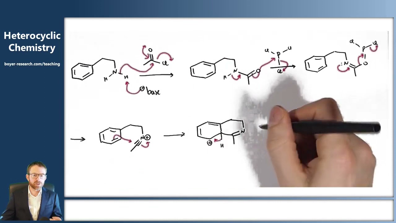 13 - Synthesis of Isoquinolines and Quinolines