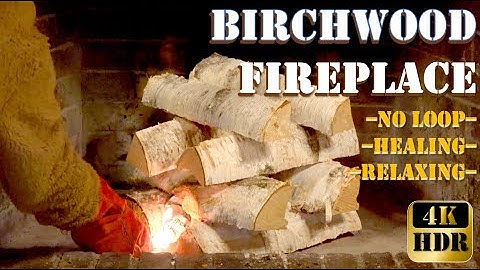 Birchwood Bliss: Cozy Fireplace Ambiance for Supreme Relaxation. Real time, No loop, 4K HDR