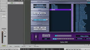 Loopmasters REX &RMX