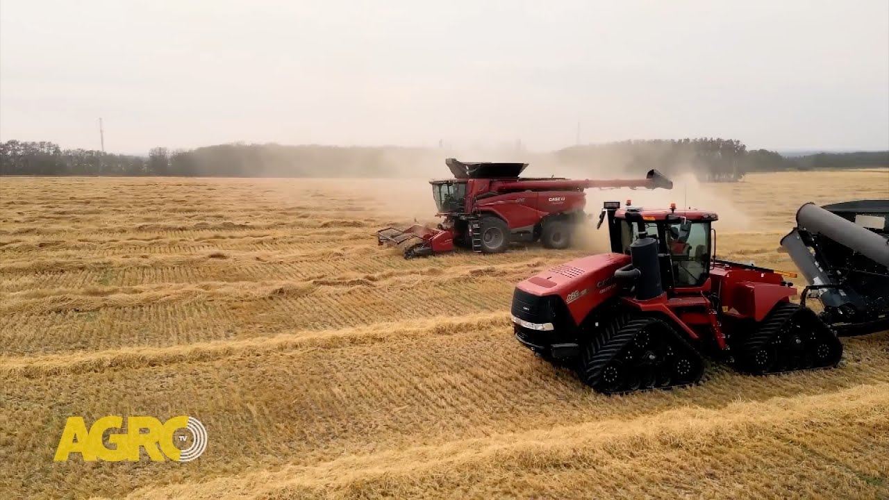 Nuevas Cosechadoras AF y Serie 260: Potencia, precisión y eficiencia tecnológica (