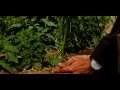 كنز الطائف   