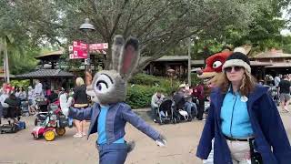 20251226 20260106 Wdw90 zootopia Better Zoogethr
