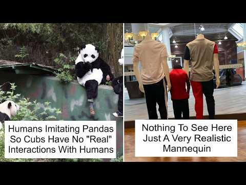 Evil Geniuses Who Pretended To Be Someone Else | HahaHub