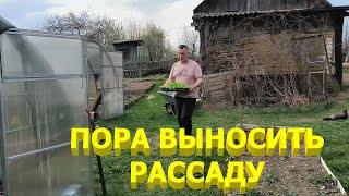видео: Готовим РАССАДУ ТАБАКА к ВЫСАДКЕ В ПОЛЕ. Подготавливаем ПАРНИКИ К ПОСАДКАМ. Пиломатериал ДЛЯ ТАБАКА. картинка: Готовим РАССАДУ ТАБАКА к ВЫСАДКЕ В ПОЛЕ. Подготавливаем ПАРНИКИ К ПОСАДКАМ. Пиломатериал ДЛЯ ТАБАКА.