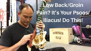 Low Back\/Groin Pain? It’s Your Psoas\/Iliacus! Do This! | Dr Wil \& Dr K