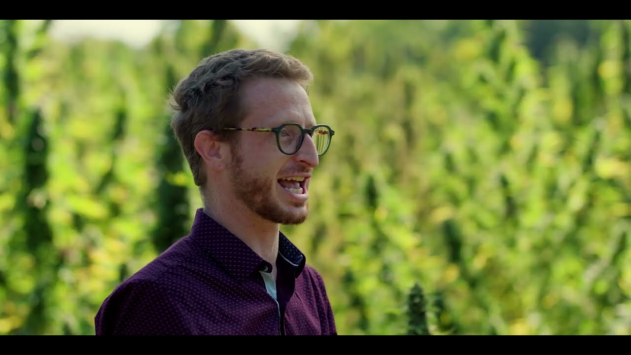 Abstrax Live Series: 3rd Gen Terpenes