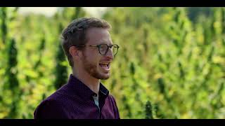 Abstrax Live Series: 3rd Gen Terpenes