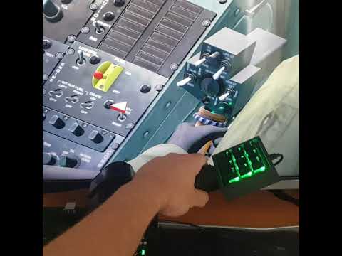 Thrustmaster Warthog collective mod