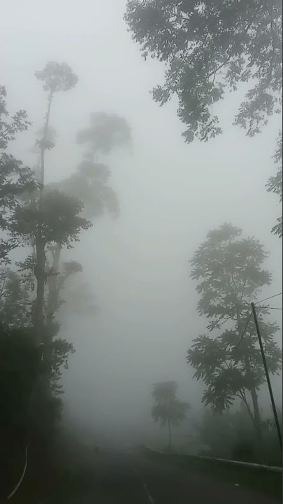 NEGERI KABUT (like a star - doyoung)