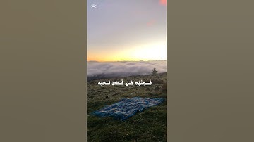اجمل تلاوة ممكن تسمعها 🥺❤️