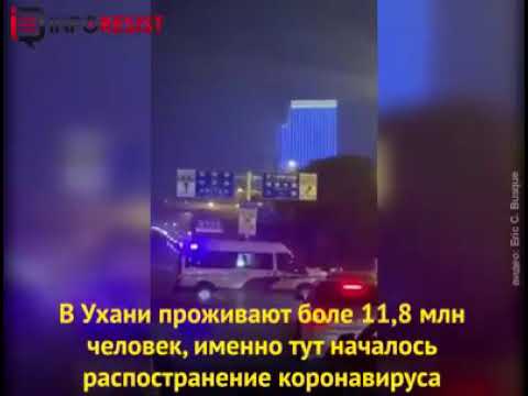 Video: Кытайда кайсы жемиш узак өмүрдүн жана ийгиликтин символу болуп саналат?