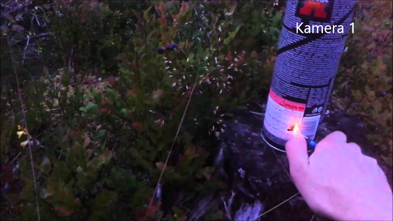 PRINGLES ILMAPOMMI / AIRBOMB -  300 tilaajan spesiaali