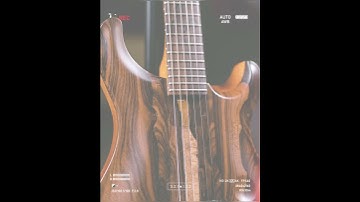 Exotic Paul Reed Smith PRS Private Stock ‘Sculpture’ Custom 24 guitar in Ziricote Top