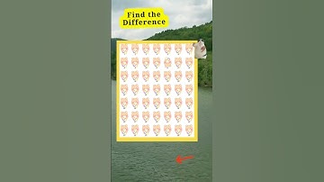 find the diff #204 #play #funny spot