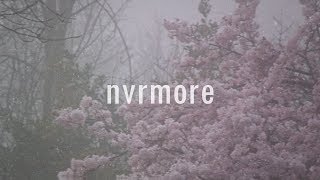 nvrmore - you're the only one that wants me around | lyrics