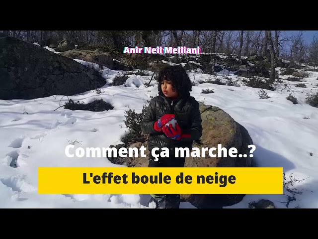 comment ça marche l'effet boule de neige 