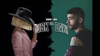 Dusk till Dawn - Zayn & Sia (10 hour loop)