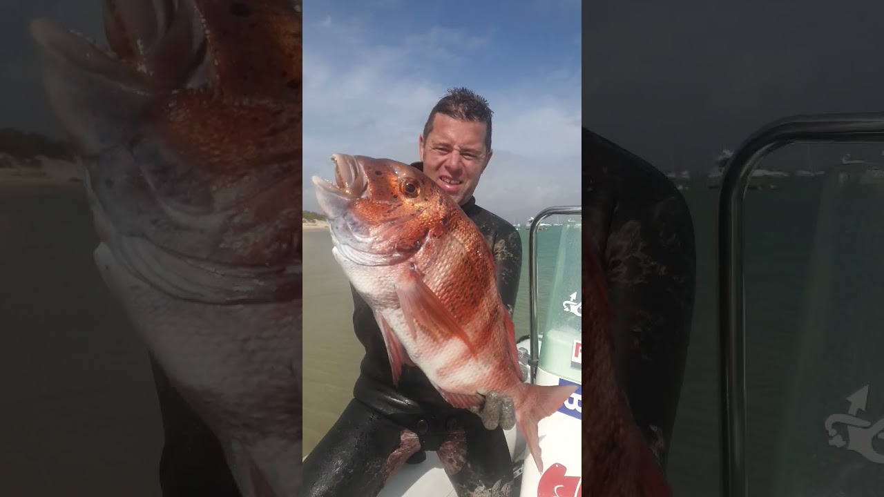 última bajada antes del temporal una magnífica urta 