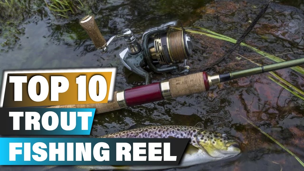 Best Reel for Trout Fishings In 2023 - Top 10 Reel for Trout