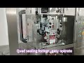 Qual sealing packing machine