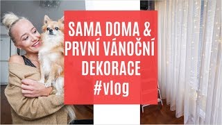 SAMA DOMA & PRVNÍ VÁNOČNÍ VÝZDOBA