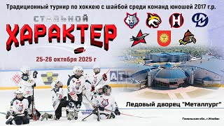 25.10.2025. СХ. 2017. Металлург-1 - Авиатор