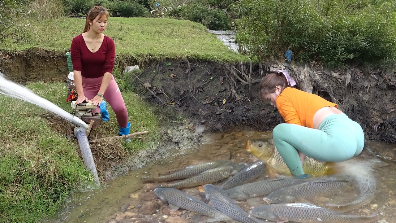 Hunting Wild Fish, The Girl Pumping Water Out of the Puddle in Dry ...