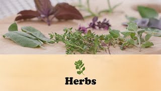 Herbs | Let's Grow Stuff