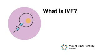 What is IVF Aug 2022