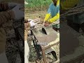 Sawing cassava stems with a circular saw
