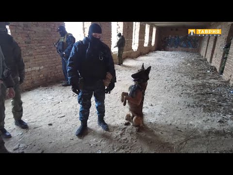 В Херсонской области рассказали  о работе специалистов-кинологов со служебными собаками