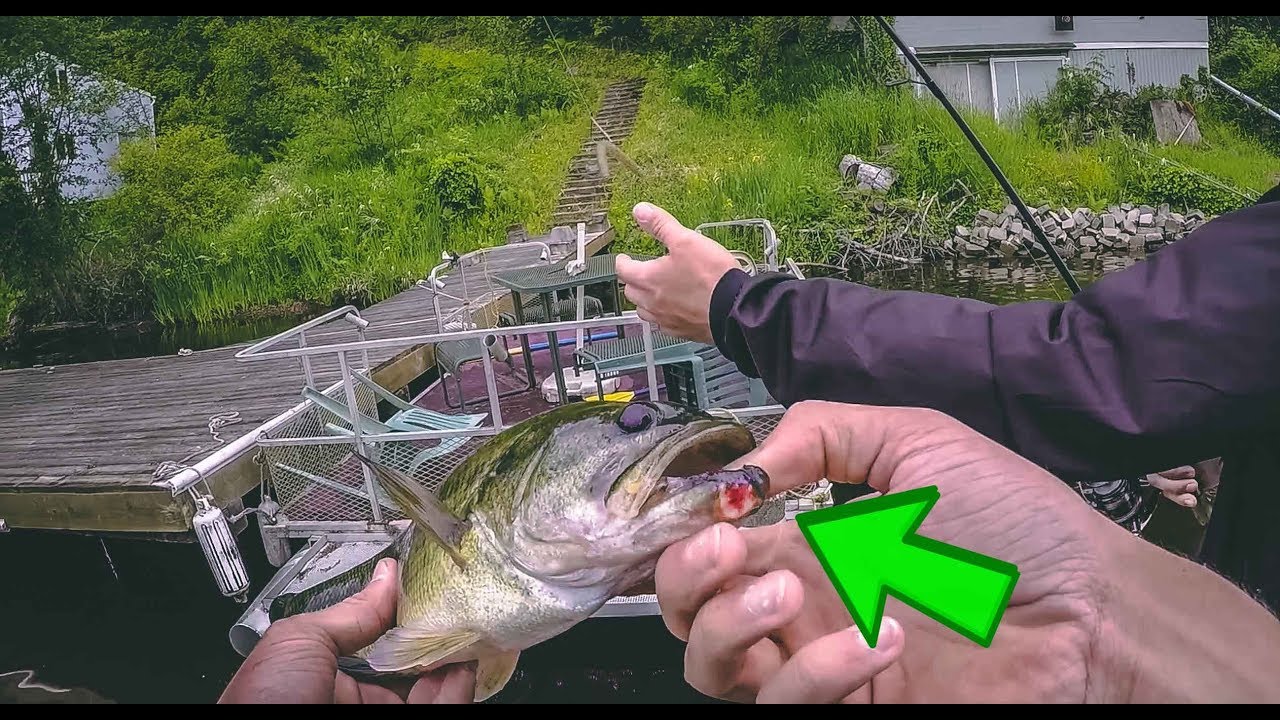 Ohop Lake Fishing Washington: Ultimate Guide for Trophy Catches