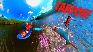 Kayak TARPON fishing in St. Lucie River