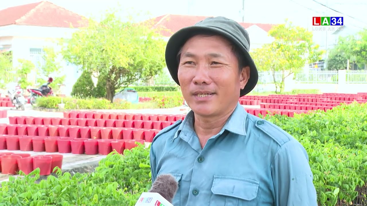 HOA KIỂNG CHUẨN BỊ PHỤC VỤ THỊ TRƯỜNG TẾT