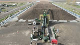 Piling Sugar Beets in 2020