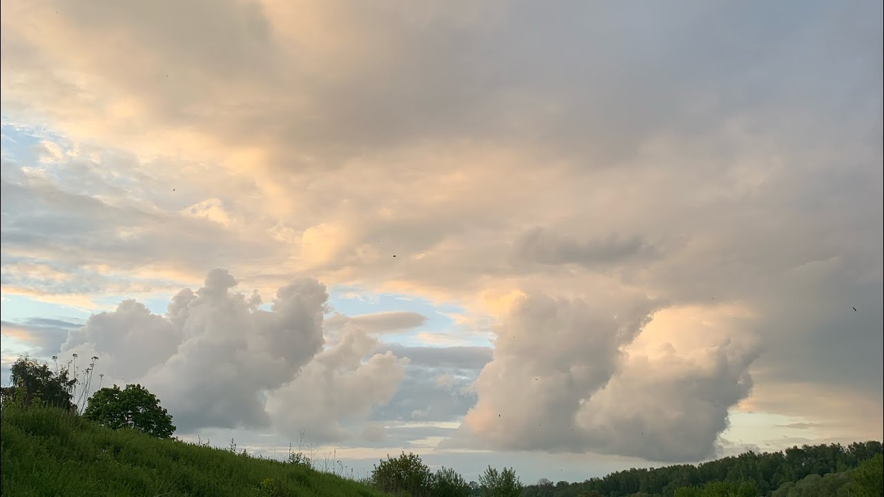 Ястреб в небе?? - YouTube