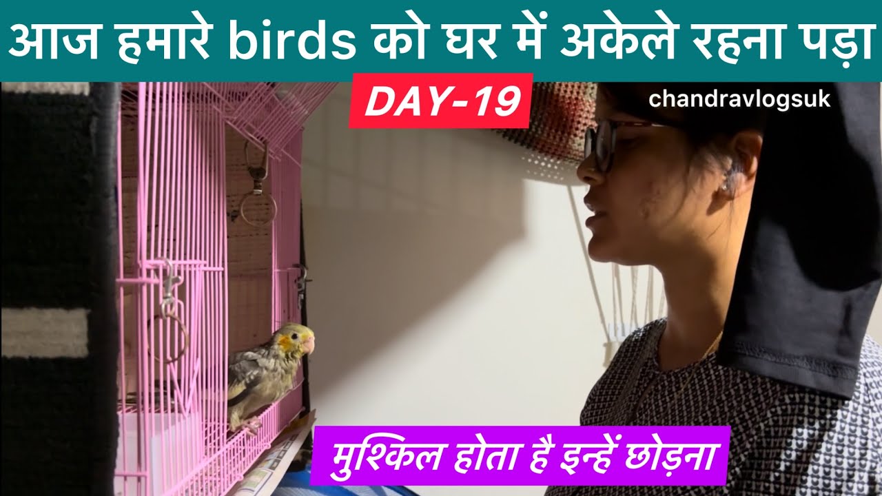 D19E2 आज हम ऋषभ के स्कूल गये और फिर dmart | we visited our kids school 
