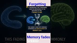 Brain Vs Mind : The Hidden Connection Explained..... Mr.- V J Paulose.