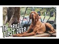 Weekend Meat Hunt - Catch & Cook | The Bros First Deer