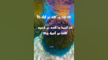 سورة التحريم من الآية ﴿٣﴾ إلي الآية ﴿٤﴾ بصوت القارئ إسلام صبحي