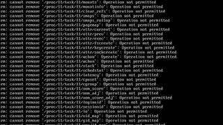 sudo rm -rf /