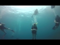 Scuba diving at shark island koh tao july 2015