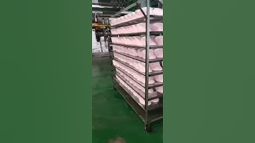 Automatic Eps Styrofoam Polystyrene Shape Moulding Machine For Icf