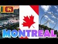 MONTREAL CANADA | SRILANKAN WANDERLUST