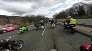 gingers egg run 2017