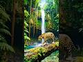 The Secret World of the Amazon Jungle 🌿🦜