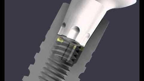 Ankylos CX Animation