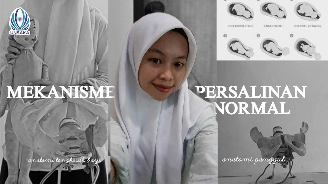 Mekanisme persalinan normal